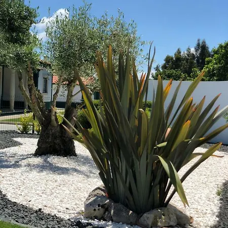 Paradise Valley House Vakantiehuis *